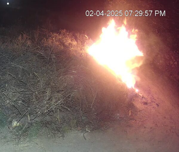 Yard Waste Fire